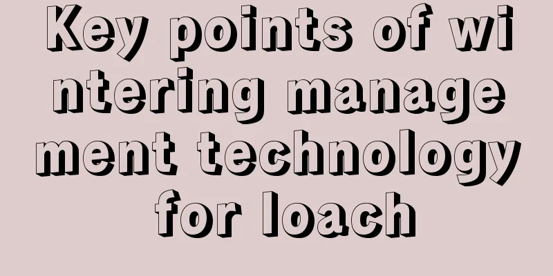 Key points of wintering management technology for loach