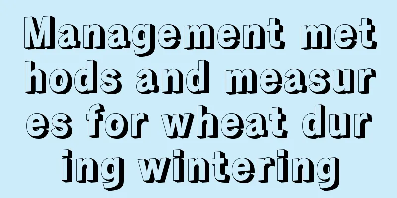 Management methods and measures for wheat during wintering