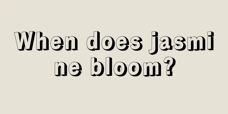 When does jasmine bloom?