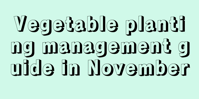 Vegetable planting management guide in November