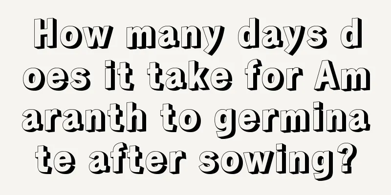 How many days does it take for Amaranth to germinate after sowing?