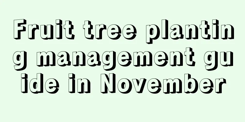 Fruit tree planting management guide in November