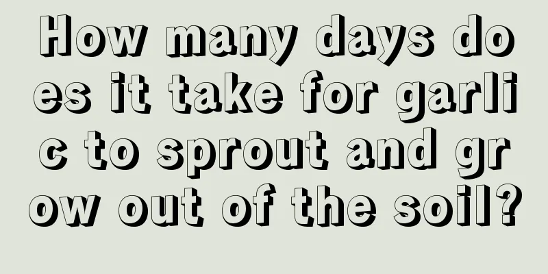 How many days does it take for garlic to sprout and grow out of the soil?