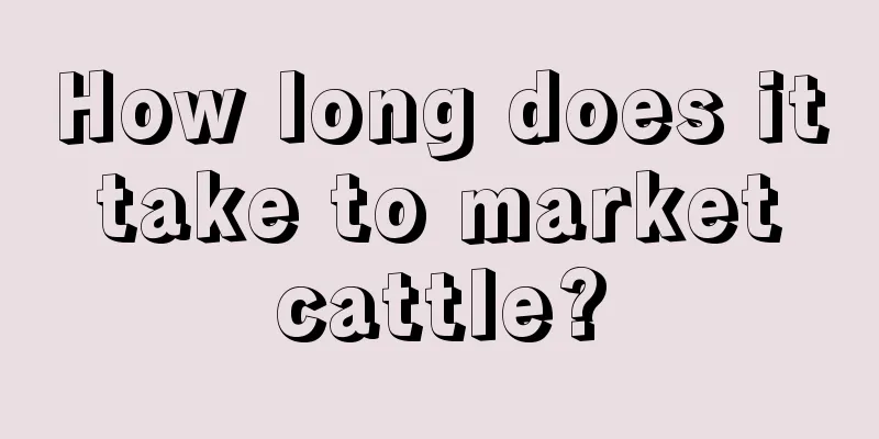 How long does it take to market cattle?