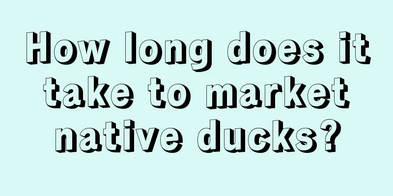 How long does it take to market native ducks?