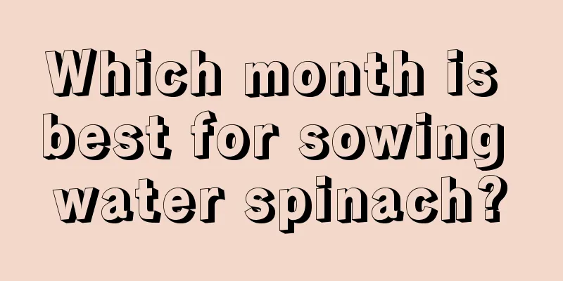 Which month is best for sowing water spinach?