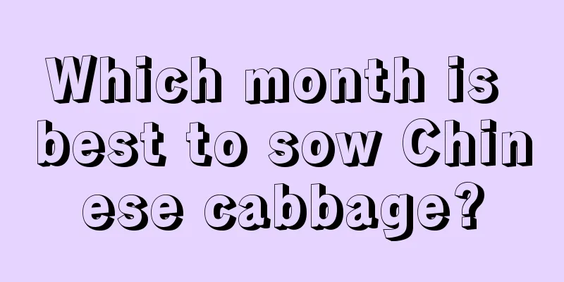 Which month is best to sow Chinese cabbage?