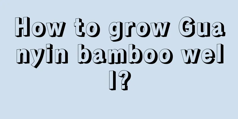 How to grow Guanyin bamboo well?