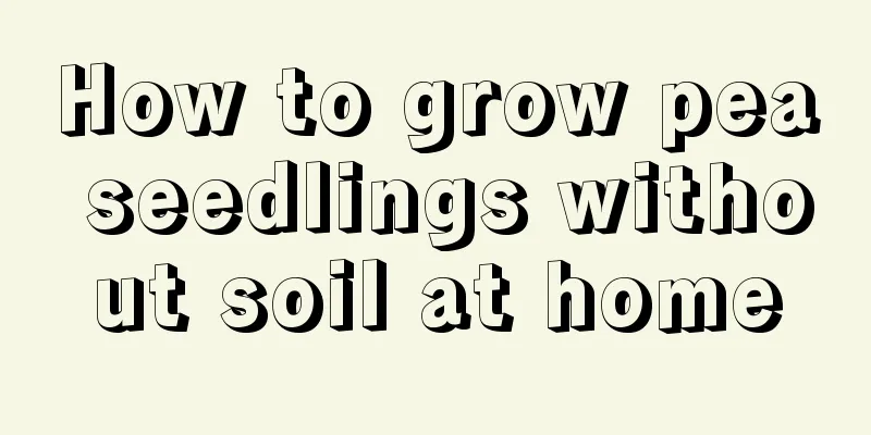 How to grow pea seedlings without soil at home