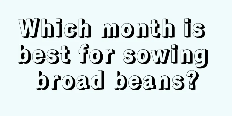 Which month is best for sowing broad beans?