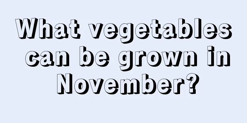 What vegetables can be grown in November?