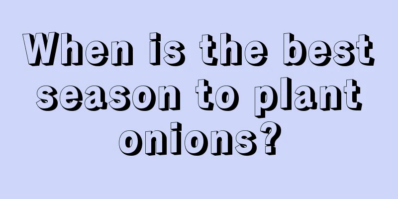 When is the best season to plant onions?