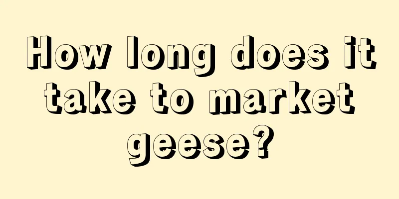 How long does it take to market geese?