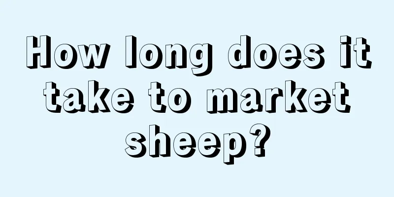 How long does it take to market sheep?