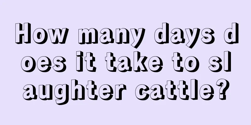 How many days does it take to slaughter cattle?