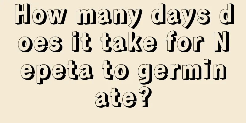 How many days does it take for Nepeta to germinate?