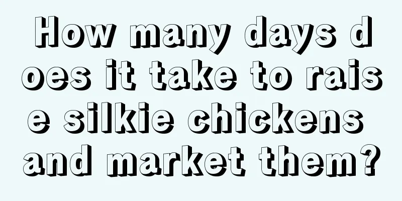 How many days does it take to raise silkie chickens and market them?