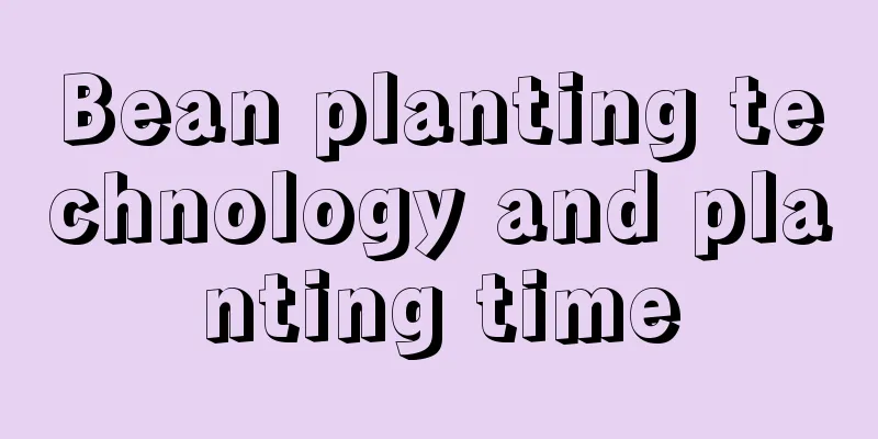 Bean planting technology and planting time