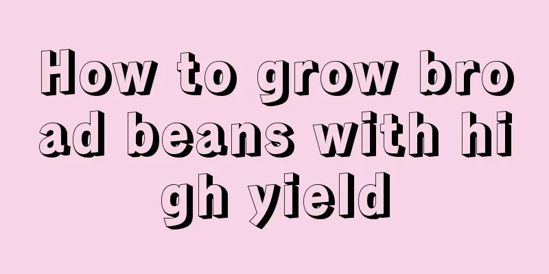 How to grow broad beans with high yield