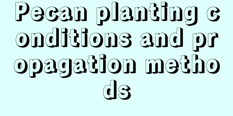 Pecan planting conditions and propagation methods