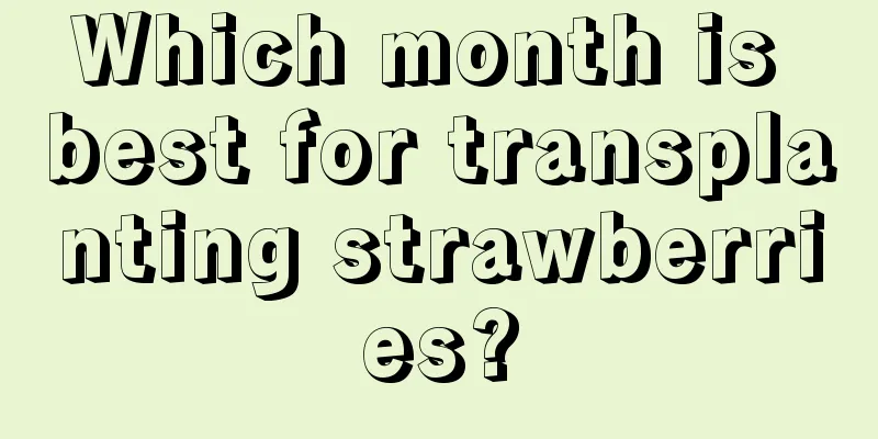 Which month is best for transplanting strawberries?