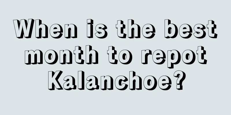 When is the best month to repot Kalanchoe?