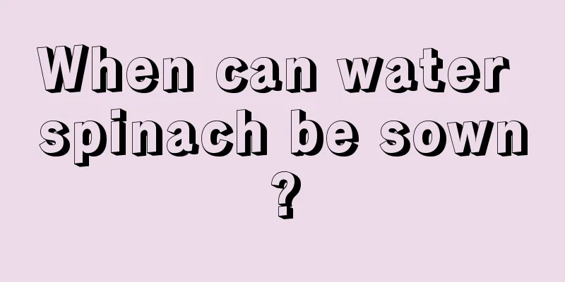 When can water spinach be sown?