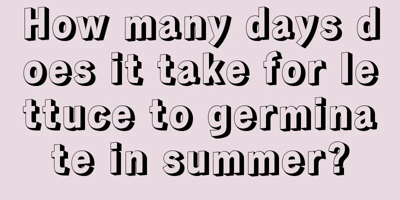 How many days does it take for lettuce to germinate in summer?