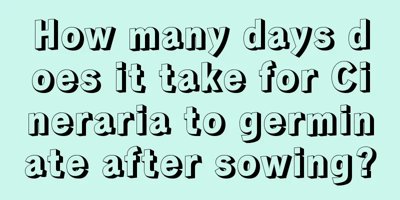 How many days does it take for Cineraria to germinate after sowing?