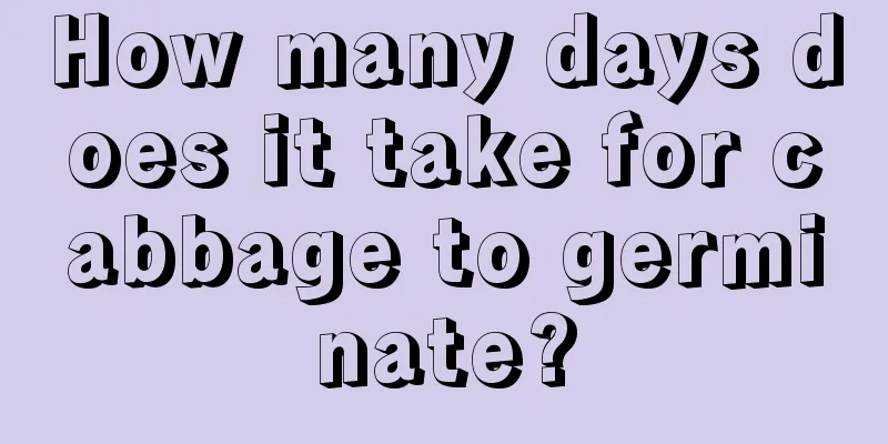 How many days does it take for cabbage to germinate?