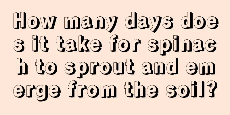 How many days does it take for spinach to sprout and emerge from the soil?