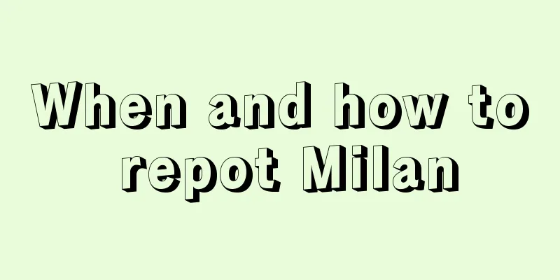 When and how to repot Milan