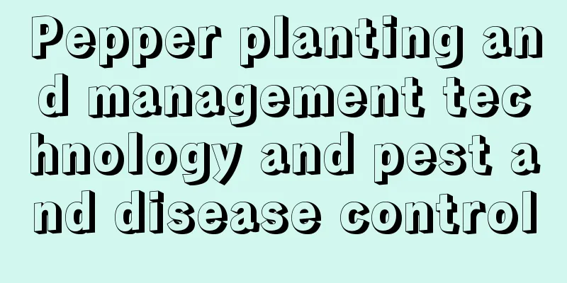 Pepper planting and management technology and pest and disease control