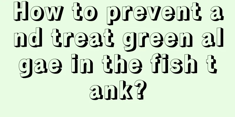 How to prevent and treat green algae in the fish tank?