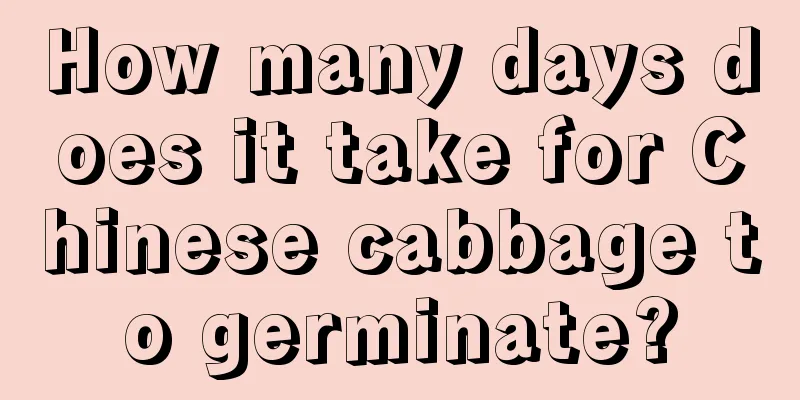 How many days does it take for Chinese cabbage to germinate?