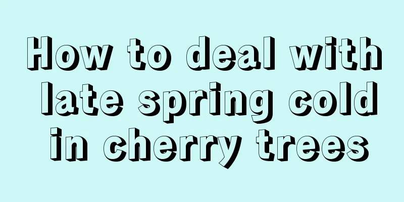 How to deal with late spring cold in cherry trees