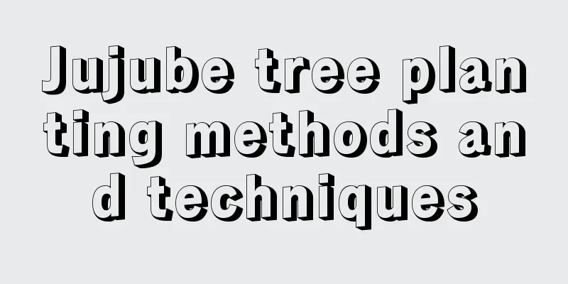 Jujube tree planting methods and techniques