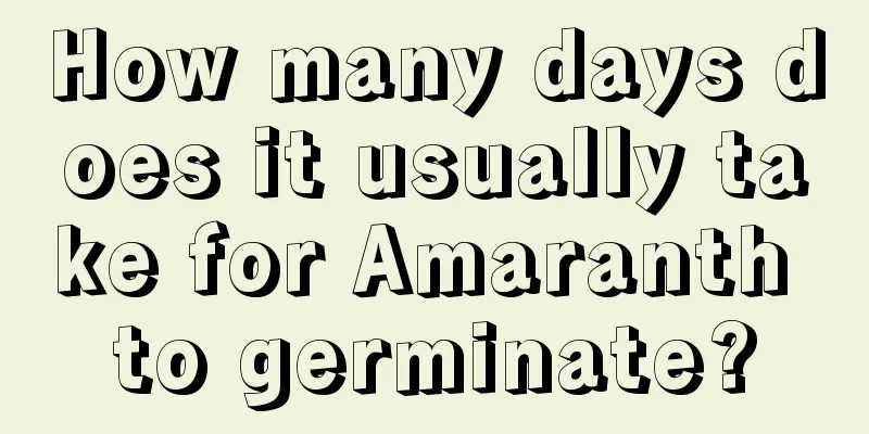 How many days does it usually take for Amaranth to germinate?