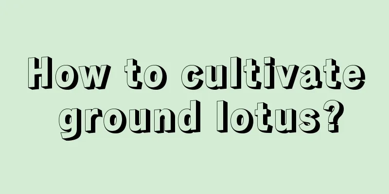 How to cultivate ground lotus?