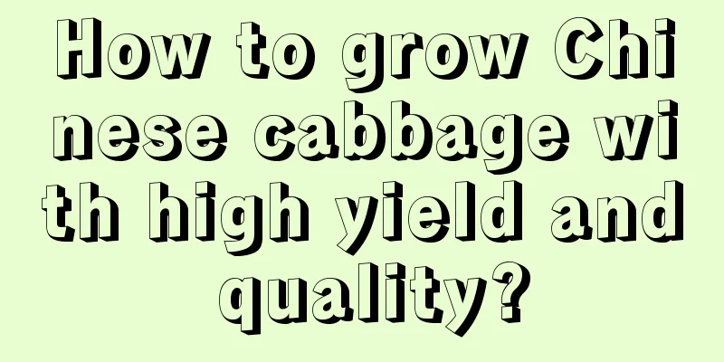 How to grow Chinese cabbage with high yield and quality?