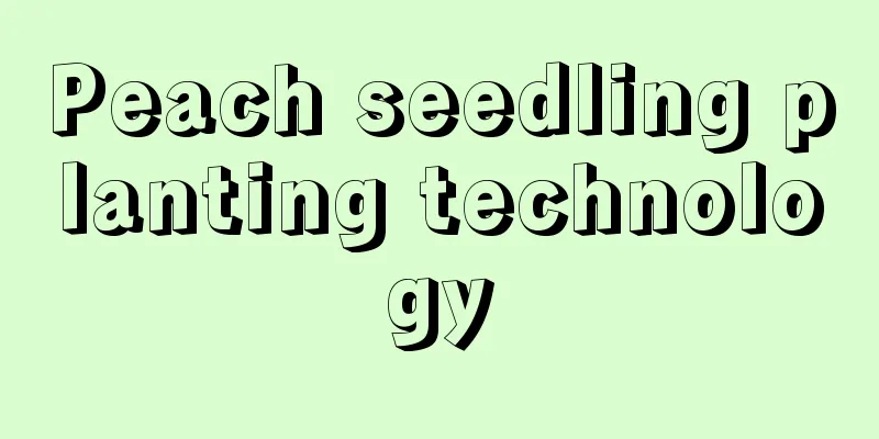 Peach seedling planting technology