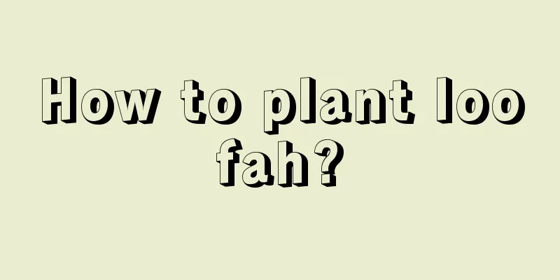 How to plant loofah?