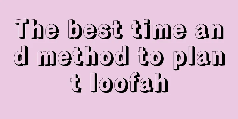 The best time and method to plant loofah