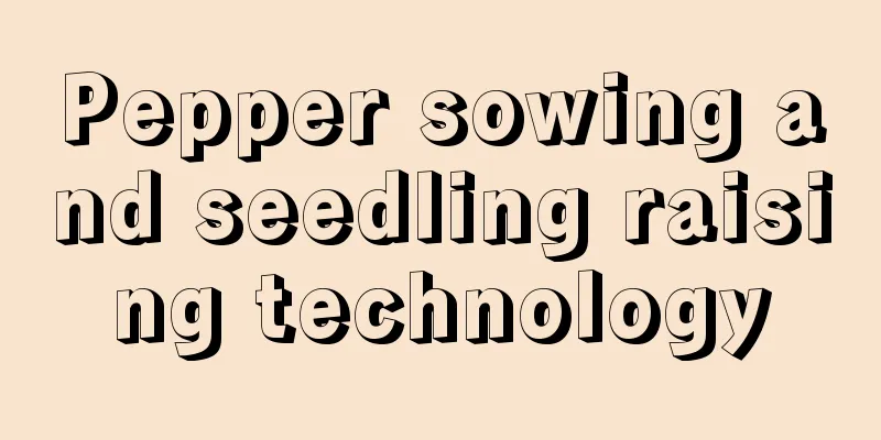 Pepper sowing and seedling raising technology