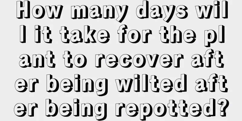 How many days will it take for the plant to recover after being wilted after being repotted?