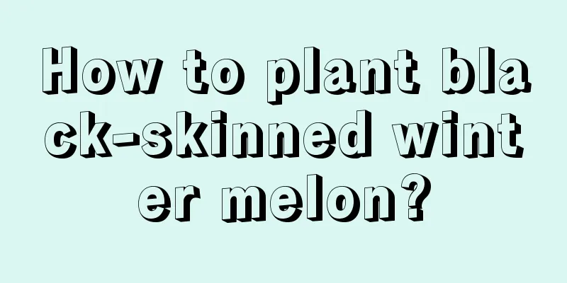 How to plant black-skinned winter melon?