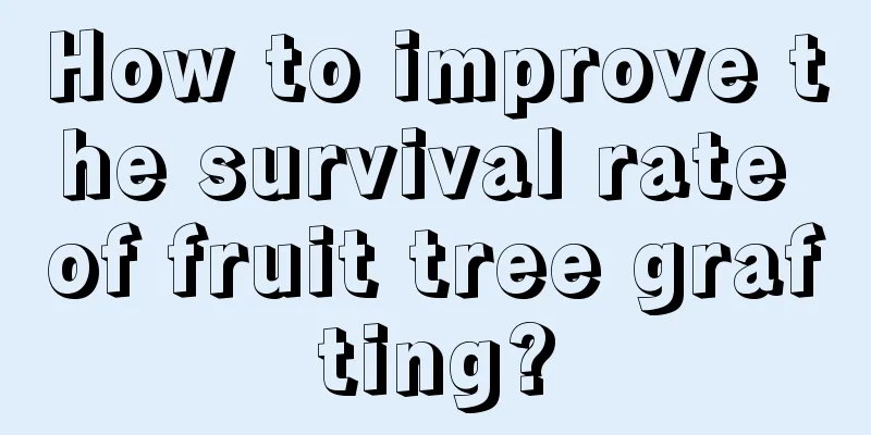 How to improve the survival rate of fruit tree grafting?