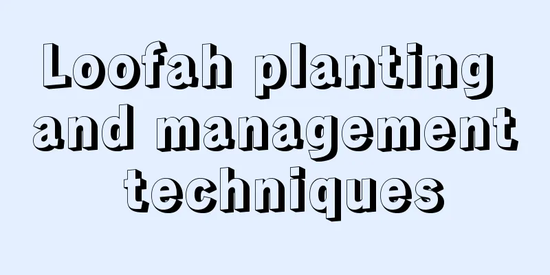 Loofah planting and management techniques