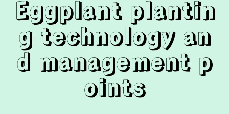 Eggplant planting technology and management points