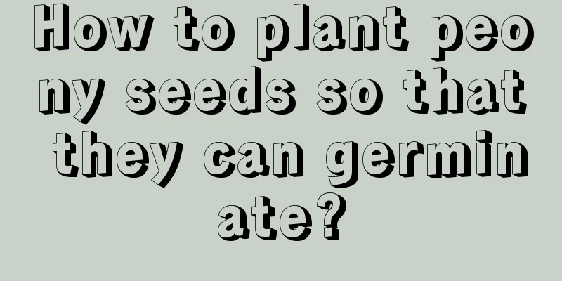 How to plant peony seeds so that they can germinate?